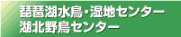 琵琶湖水鳥・湿地センターへリンク