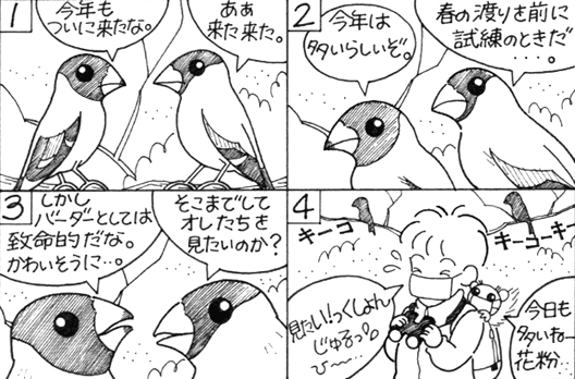 マンガ01